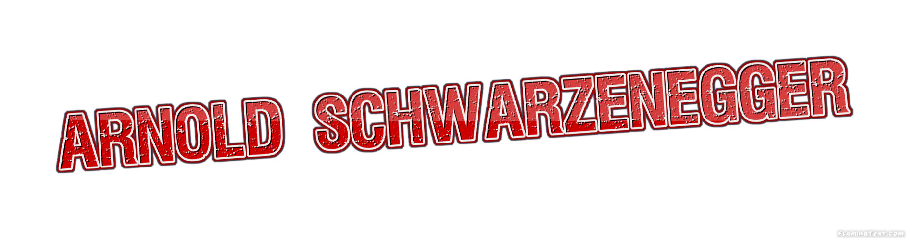 Arnold Schwarzenegger Logo