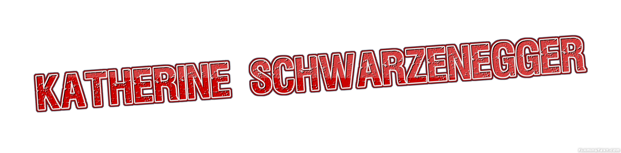 Katherine Schwarzenegger Лого