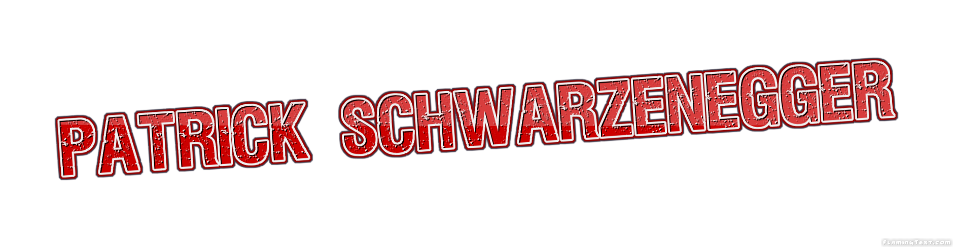 Patrick Schwarzenegger Logo