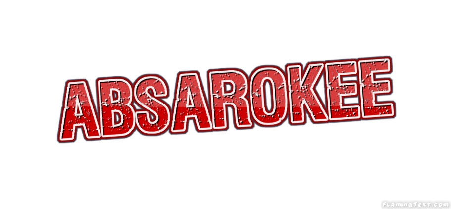 Absarokee город