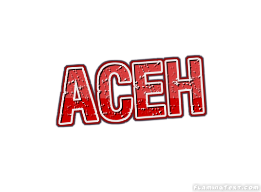 Aceh Stadt