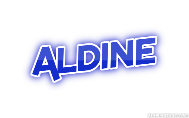 Aldine Ville