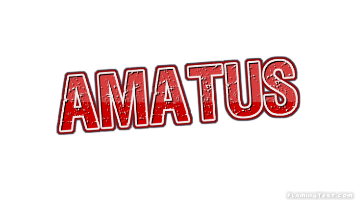 Amatus город