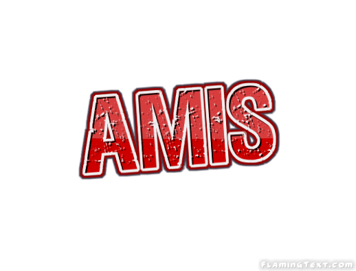 Amis City