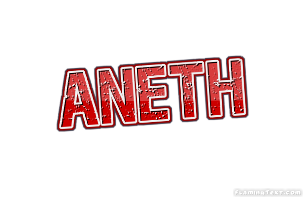 Aneth Ville