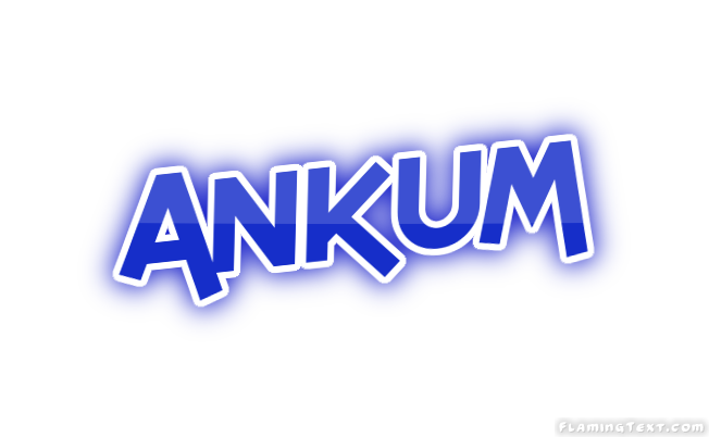 Ankum 市