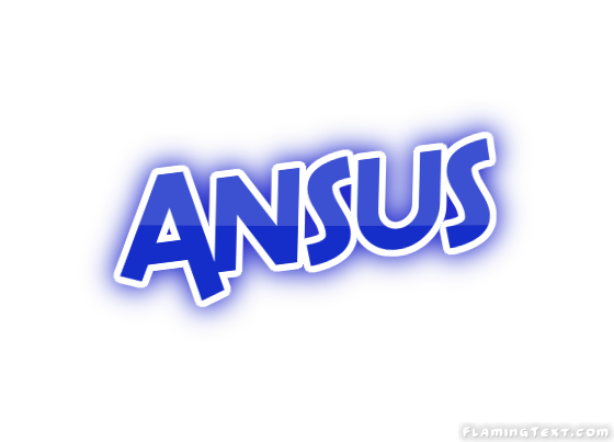 Ansus 市