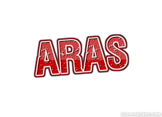 Aras City