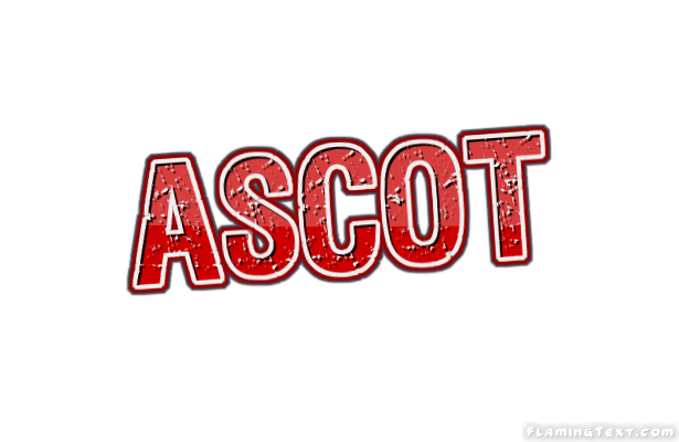 Ascot Cidade