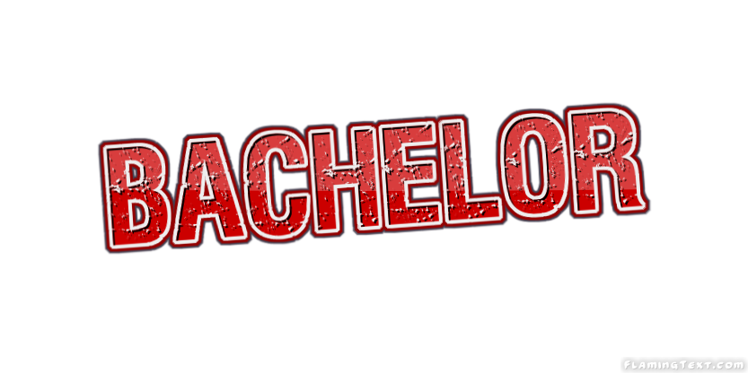 Bachelor город