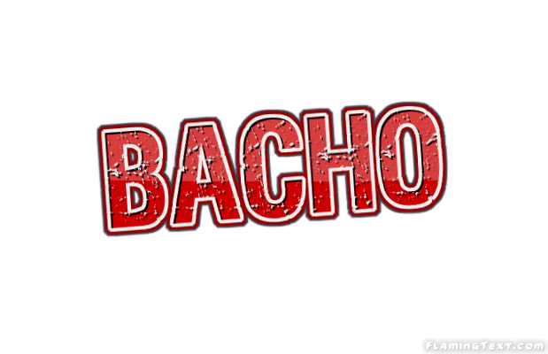 Bacho City