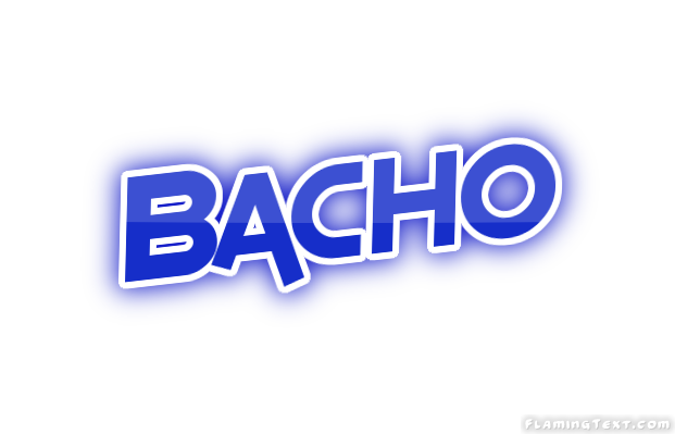 Bacho Ville