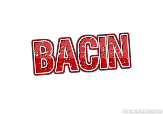 Bacin City