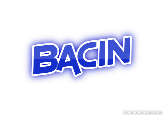 Bacin 市
