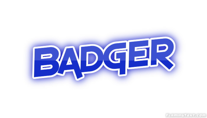 Badger مدينة