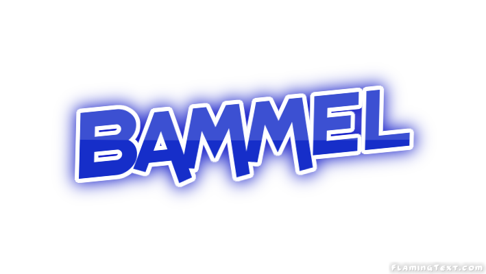 Bammel City