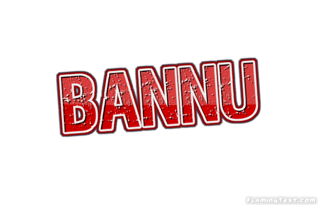 Bannu City
