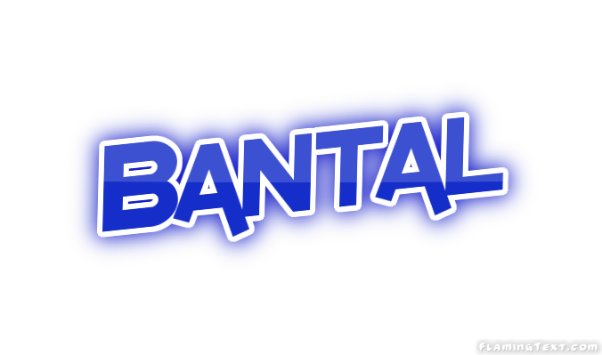 Bantal City