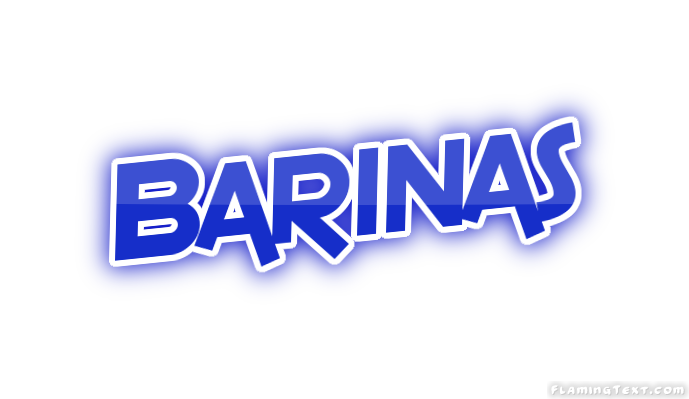 Barinas City