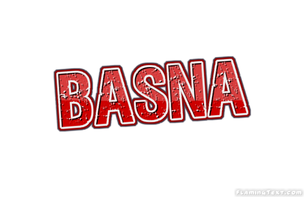 Basna City