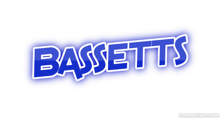 Bassetts Ville