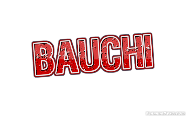 Bauchi 市
