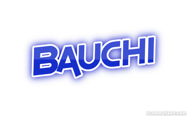 Bauchi مدينة