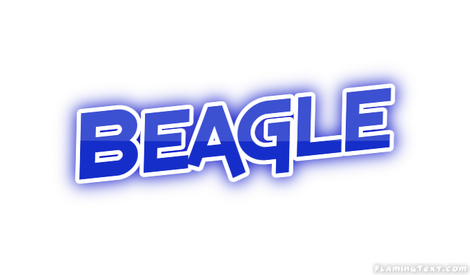 Beagle Ciudad