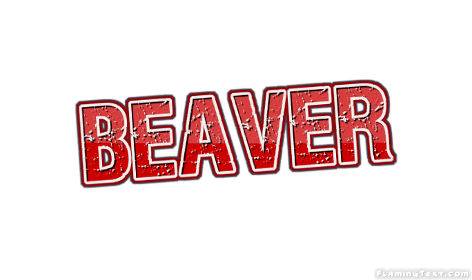 Beaver Stadt