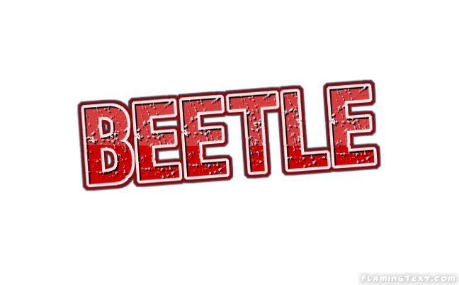 Beetle Stadt