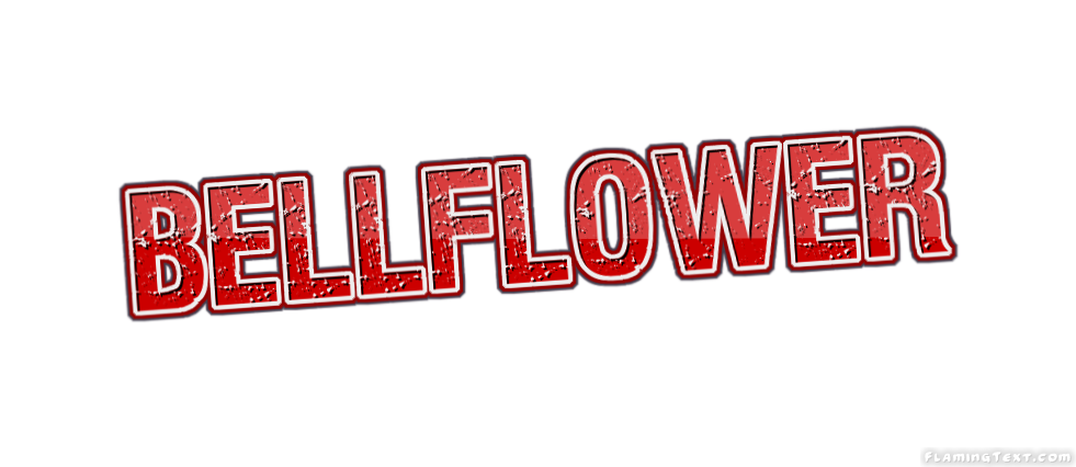 Bellflower Faridabad