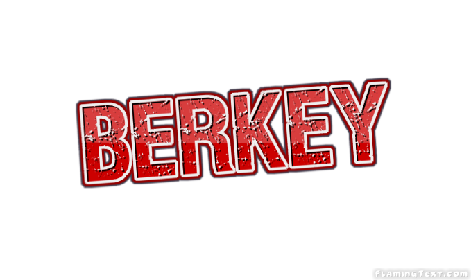 Berkey 市