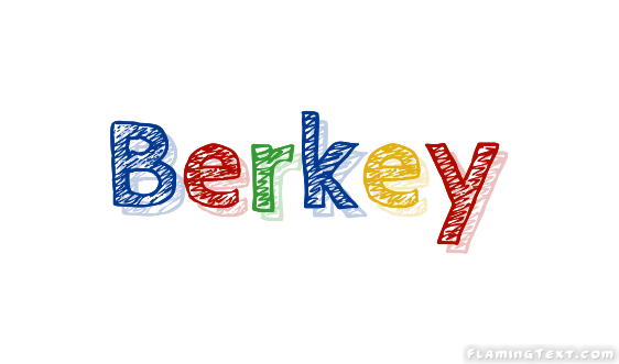 Berkey 市