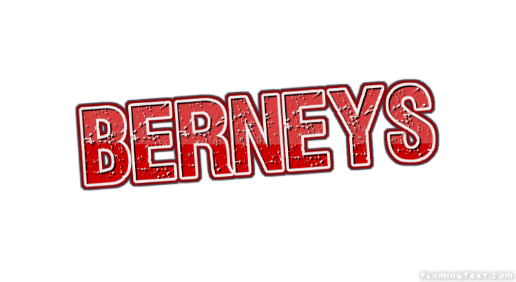 Berneys город