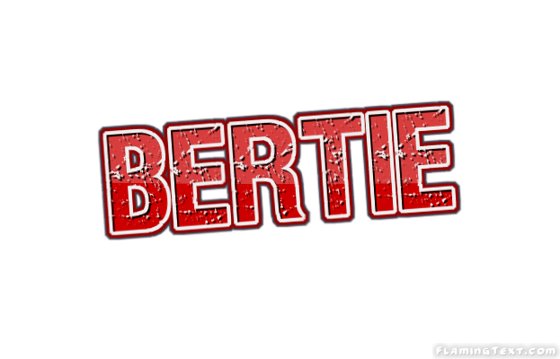 Bertie City