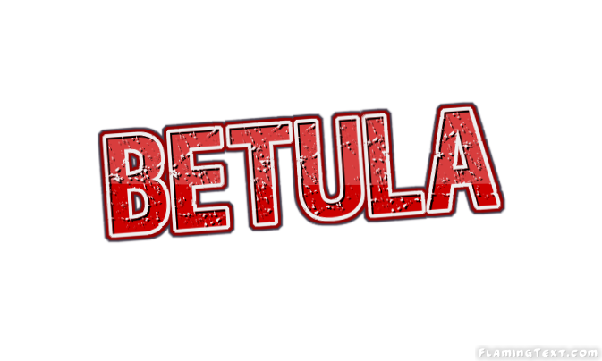 Betula City