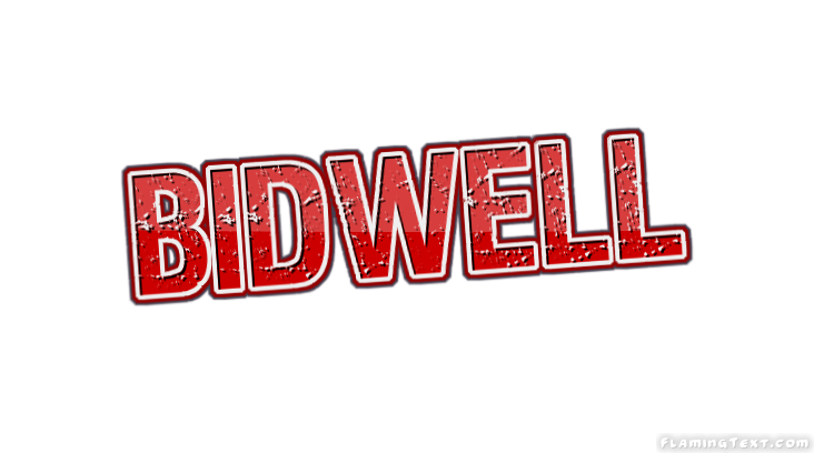 Bidwell City