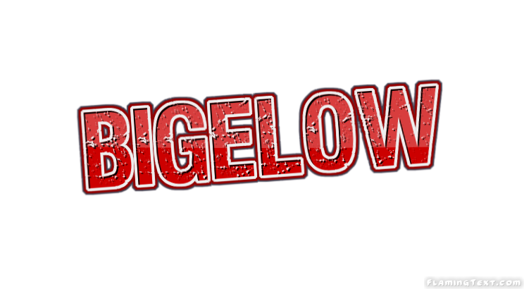 Bigelow City