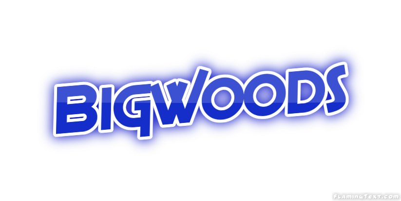 Bigwoods город