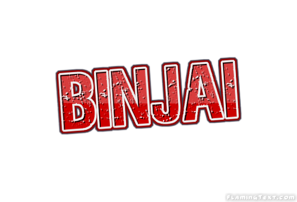 Binjai город