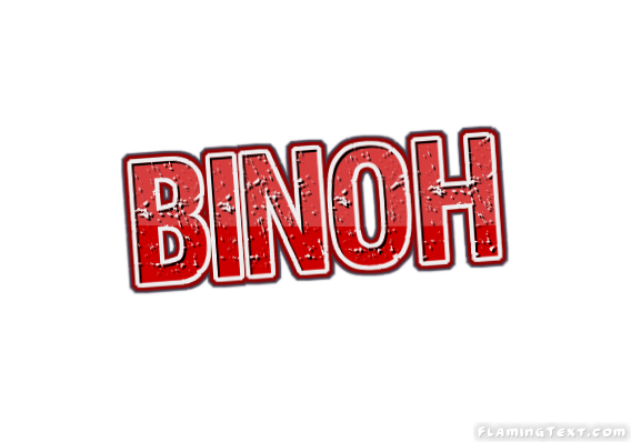 Binoh 市