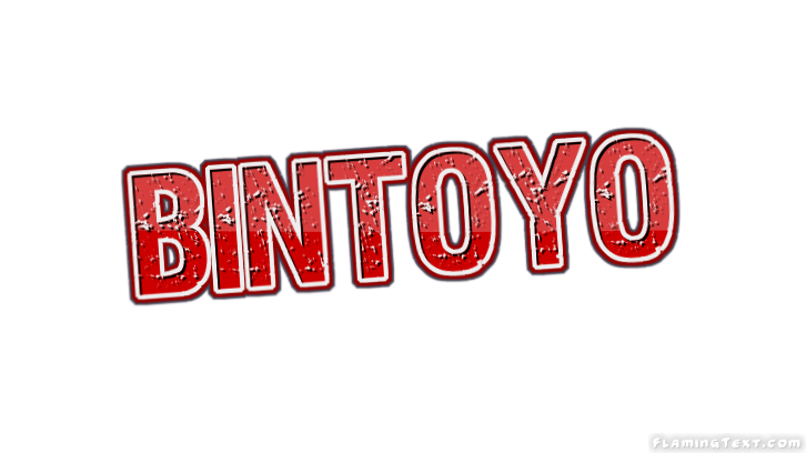 Bintoyo 市