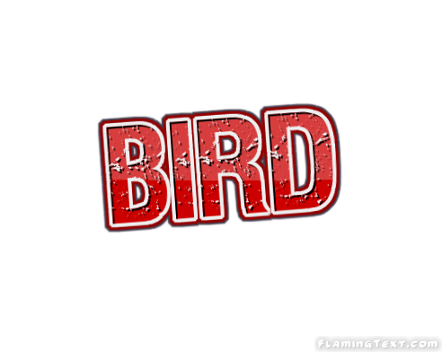 Bird 市