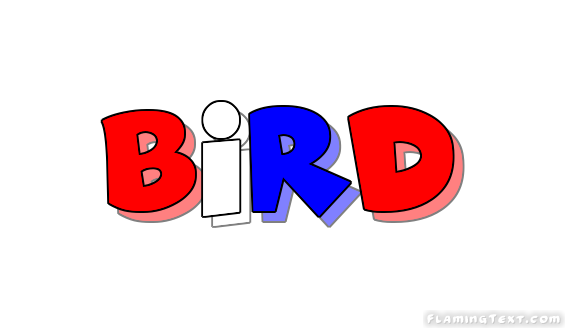 Bird Faridabad
