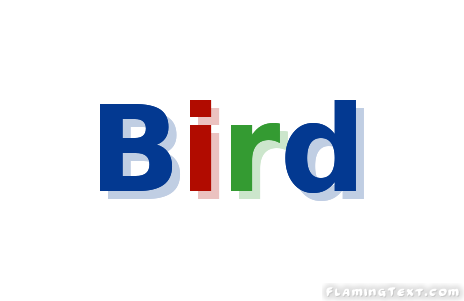 Bird Ciudad