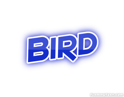 Bird 市