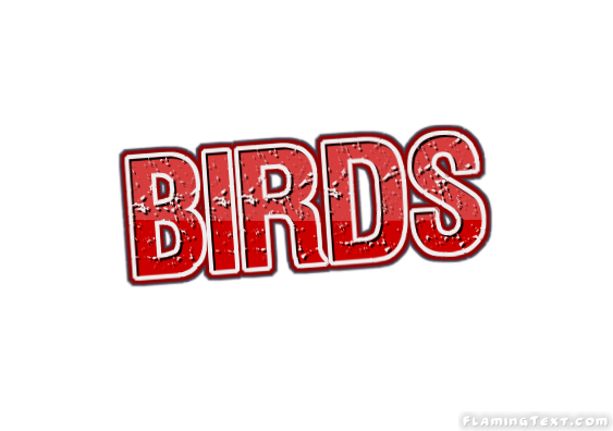 Birds Stadt