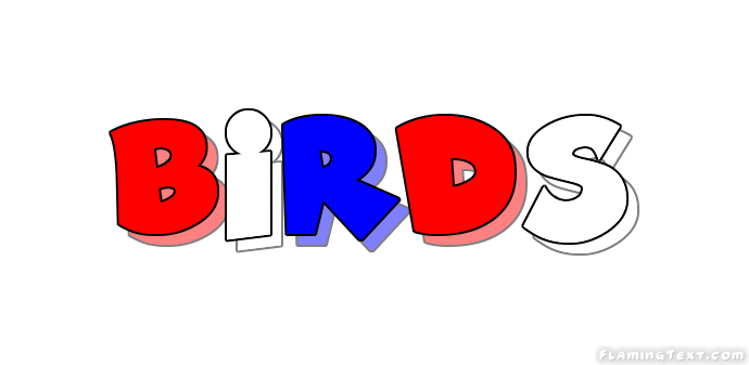Birds 市