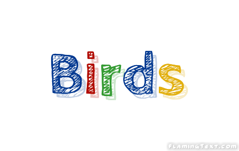 Birds مدينة