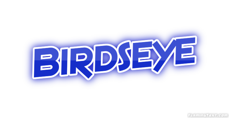 Birdseye City